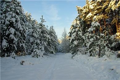 《最后的生还者》多人独立游戏可能是免费
