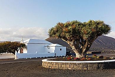 PS三档会员新增试玩游戏《最后的生还者Part1》 免费玩2小时