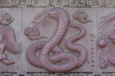 新游《不死者之王》声优悠木碧试玩演示 6月16日发售